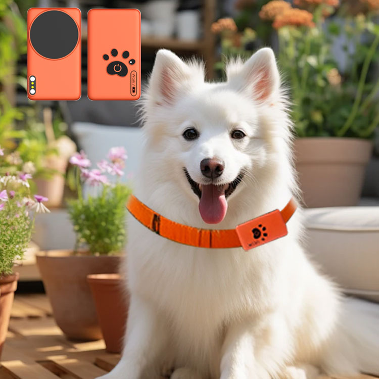 AI Wearable Pet Health Monitor - Breath Rate Monitor recensione e prezzo