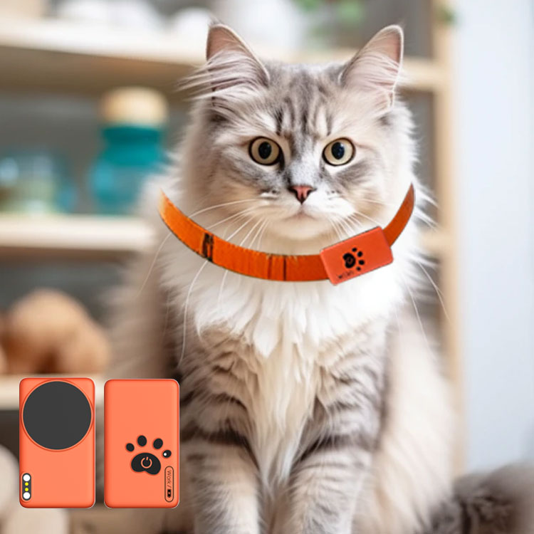 AI Wearable Pet Health Monitor - Breath Rate Monitor recensione e prezzo